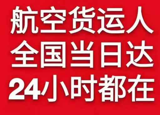 大武空运公司货物、航空货运:物流行业各岗位招聘